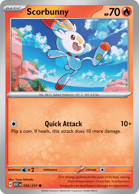 ヒバニー / Scorbunny (ASC #36)