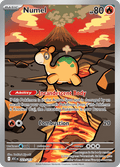 ドンメル / Numel (ASC #223)