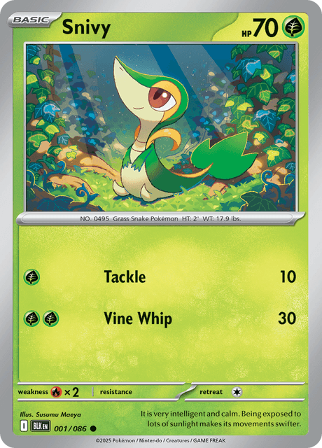 ツタージャ / Snivy (BLK #1)