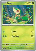 ツタージャ / Snivy (BLK #1)