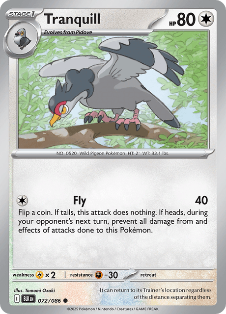 ハトーボー / Tranquill (BLK #72)