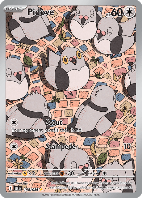 マメパト / Pidove (BLK #148)