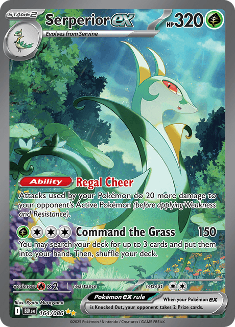 ジャローダex / Serperior ex (BLK #164)