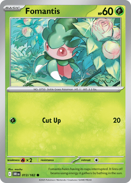 カリキリ / Fomantis (DRI #13)
