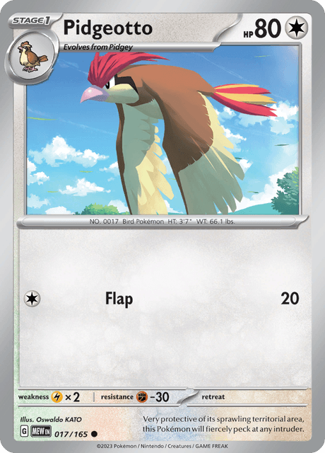 ピジョン / Pidgeotto (MEW #17)