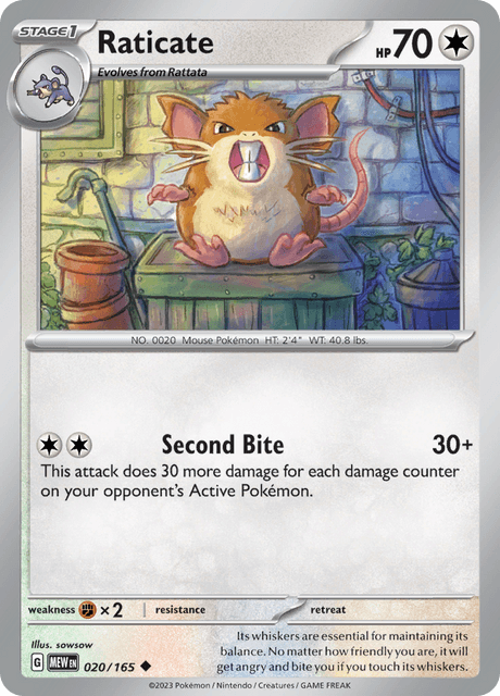 ラッタ / Raticate (MEW #20)