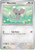 チラーミィ / Minccino (CRI #72)