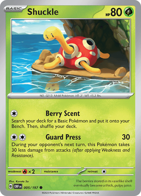 ツボツボ / Shuckle (OBF #5)