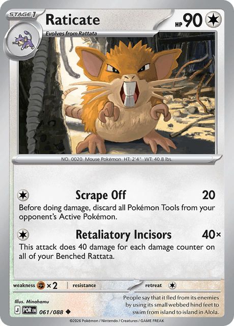 ラッタ / Raticate (POR #61)