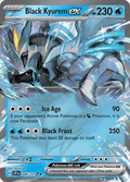 ブラックキュレムex / Black Kyurem ex (SSP #48)